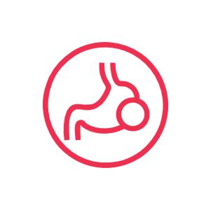 DIGESTIVE SUPPORT